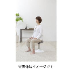 ヨドバシ.com - ミズノ mizuno C3JHI80255 [健康用具 トレーニング椅子 