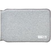 Light Fitter 12inch Gray LF-04