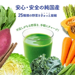 ヨドバシ.com - 日本薬健 金の青汁 25種の純国産野菜 乳酸菌×酵素 30