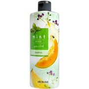 ミントシャンプー リフレッシュ N 300mL [シャンプー]