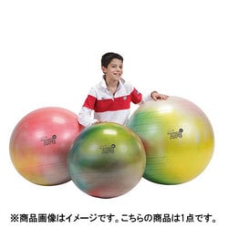 ヨドバシ Com ギムニク Gymnic Lp9537 バランスボール ギムニクアルテ75 Brq 通販 全品無料配達