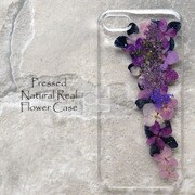 押し花スマホケース Disegno(ディセーニョ) Raker5 for iPhone 7 Plus/iPhone 8 Plus [iPhone用ケース]