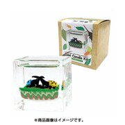 キューブキャンドルキット ヘラクレスオオカブトセット CK-007