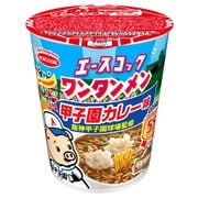 限定 タテ型 ワンタンメン 甲子園カレー味 61g