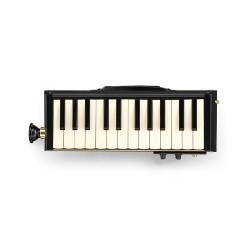 メロディオン マイク内蔵 バス HAMMOND PRO-24B