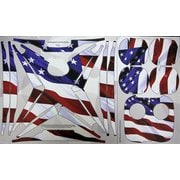DJI Phantom 4/4 Pro共用 スキンシール Patriotic DG-P4-Patriotic