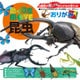 動く図鑑MOVE 昆虫おりがみ 15×15cm 36502