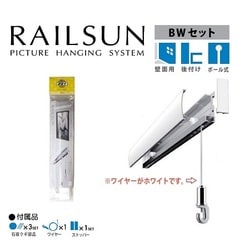 石膏ボード専用レールセット 65cm ボール式白ワイヤー自在付 WRS65BW