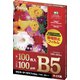 静電防止ラミネーターフィルム 100枚 B5 F1025
