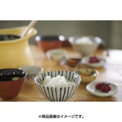 ヨドバシ.com - MOLATURA best pot 16cm ピンク [土鍋] 通販【全品無料