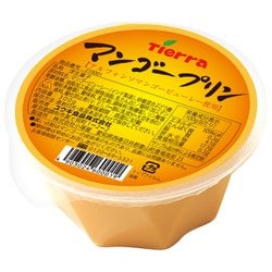 マンゴープリン 300g