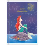 手帳 月間 B6 Sスカイ DC アリエル 2018年10月はじまり S2946572
