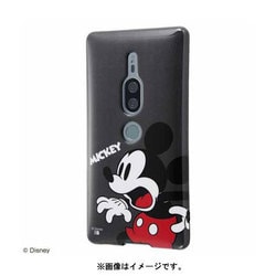 【確認画像】ディズニー　バケパクッション&レジャーシートセット 新作 ディズニーリゾート バケーションパッケージ 限定