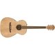 エレアコギター FA-235E Concert Natural LR