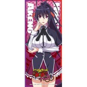 ハイスクールD×D HERO 耐水耐久ステッカー 姫島朱乃 [キャラクターグッズ]