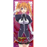 ハイスクールD×D HERO 耐水耐久ステッカー 紫藤イリナ [キャラクターグッズ]