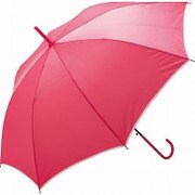 長傘 58cm 無地 パイピング ローズ 60169-18