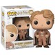 POP！ ハリー・ポッター ギルデロイ・ロックハート [塗装済完成品フィギュア 全高約90mm]