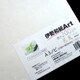 印刷用紙 伊勢和紙 Art 芭蕉 A3 ノビ 10枚 kb200No