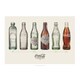 コカ・コーラ ポスター B2サイズ Bottle History Landscape PO-C18