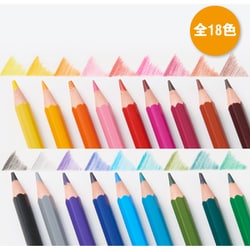 同梱可能 色鉛筆 18色 缶入り Bicジャパン キッズ BKEVOM18E/0987ｘ２個セット/卸