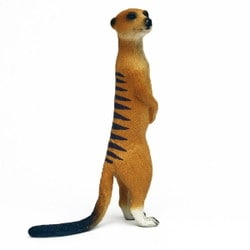 ミーアキャット　4枚 ミーアキャット 4枚 61gTfF3jeZL._UF350,350_QL50_.jpg