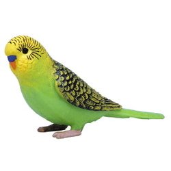 ヨドバシ Com プラッツ Platz Mjp My Little Zoo ぼくの わたしの てのひら動物園 セキセイインコ 緑 通販 全品無料配達