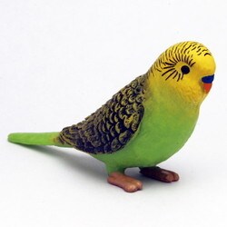 ヨドバシ Com プラッツ Platz Mjp My Little Zoo ぼくの わたしの てのひら動物園 セキセイインコ 緑 通販 全品無料配達