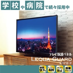ニデック 反射防止膜付き液晶テレビ保護パネル　レクアガード　43型 ニデック 反射防止膜付液晶テレビ保護パネル 43VS型
