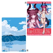 Fate/EXTELLA LINK クリアファイル エリザベート＝バートリー 水着 [キャラクターグッズ A4サイズ]