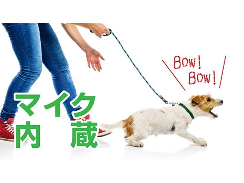 ヨドバシ.com - キャロットシステムズ CARROT SYSTEMS 防犯 ヨドバシ.com - キャロットシステムズ CARROT SYSTEMS 防犯