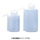 2115 [エコノ角型洗浄瓶 250ml]