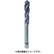 4449-M20.0X2.5 [TiAlNスパイラルタップ 高能率用並目 M20×2.5]