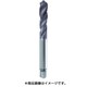 4450-M12.0X1.25 [TiAlNスパイラルタップ 高能率用細目 M12×1.2]
