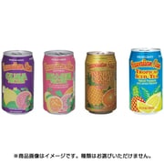 ハワイアンサン 4種アソートセット(4種×6本) 340ml×24本