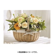 柳＆綿 取手付バスケット 21-010