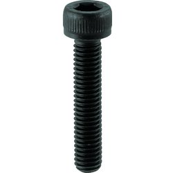 B30-1660 [TRUSCO 六角穴付ボルト 黒染め全ネジ M16X60 2本入]