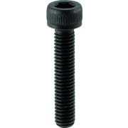 B30-2065 [TRUSCO 六角穴付ボルト 黒染め全ネジ M20X65 2本入]