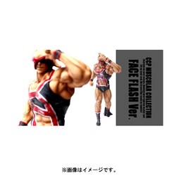 ヨドバシ.com - シーシーピー CCP Muscular Collection Vol.EX キン肉