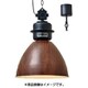 Normanton クリアハウス球付 LT-1862BN