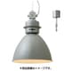 Normanton 電球別売 LT-1864GY