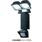 DSLD200A2 [LEDセンサーライト]