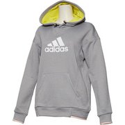 FKK02 [TEAM スウェットパーカー レディース ミディアムグレイヘザー J/L]