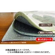 あったかシート 厚さ4mm 2.5畳 KD425