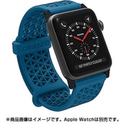 CT-SBAW1742-BS [Apple Watch 42mm シリーズ 1/2/3用 スポーツバンド ブルーリッジサンセット]