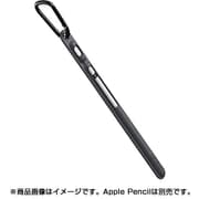 Apple Pencil用 キャリーケース スレートグレー CT-CCAW17-SG