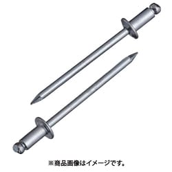ブラインドリベット スティール/スティール NS41EB (300本入) NS41EB