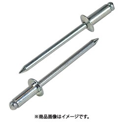 ブラインドリベット スティール/スティール NS56EB (300本入) NS56EB