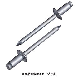 ブラインドリベット スティール/スティール NS612EB (150本入) NS612EB