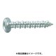 P-432-SMP [プラグレスアンカー ノンプラビス シルバー ナベ Bドリルナシ ミニパック P-432-SMP (20本入)]